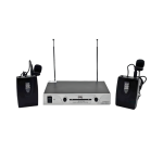 Wireless Mic – WM1001