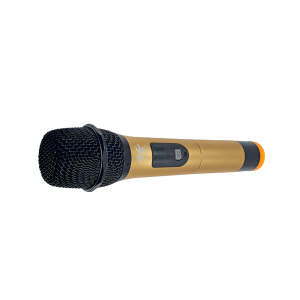 Wireless Mic – WM500